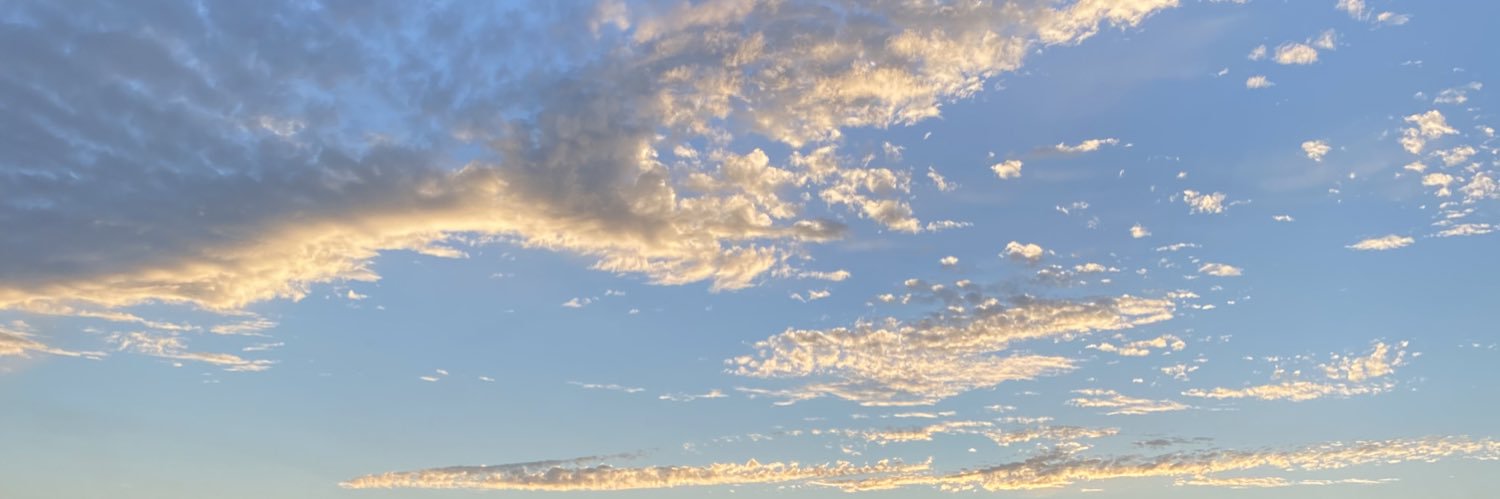 allsnc_'s profile banner image