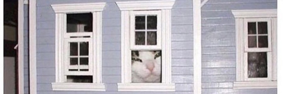 deadringer_'s profile banner image