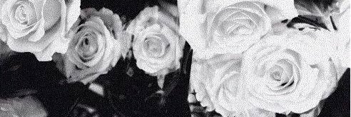 candiceRPGLBc2's profile banner image