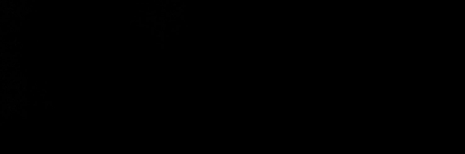 ShesBee_'s profile banner image