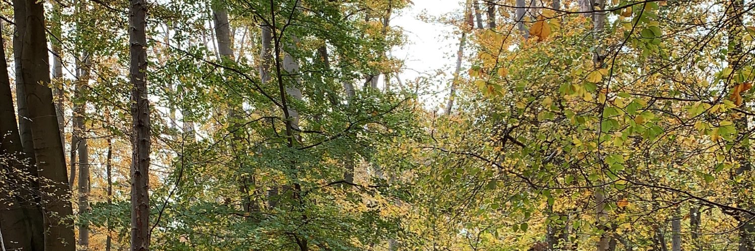 joshrandall1's profile banner image