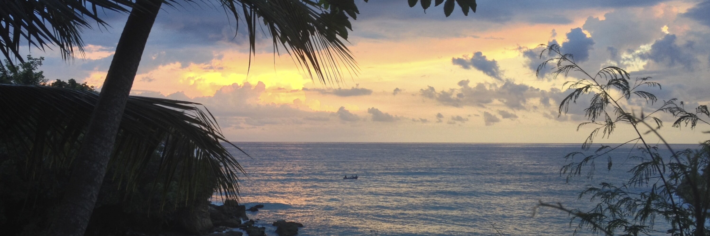 amywhardy's profile banner image