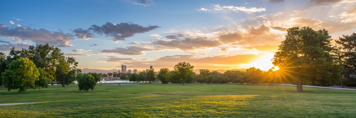 Darrell Watson banner