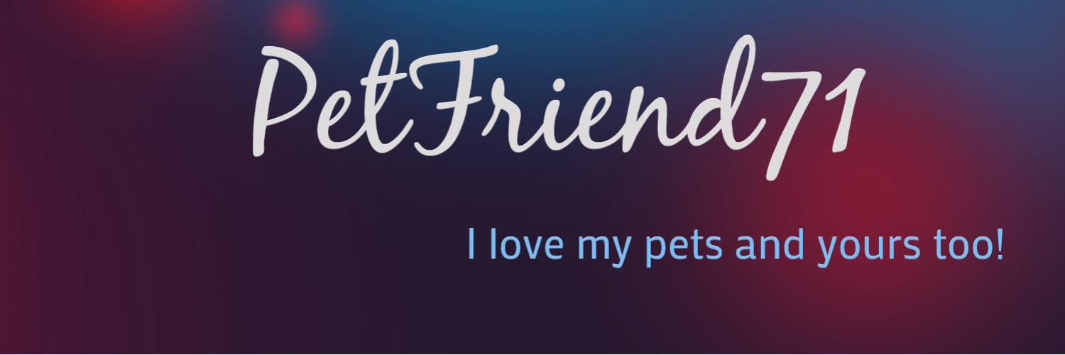 petfriend71's profile banner image