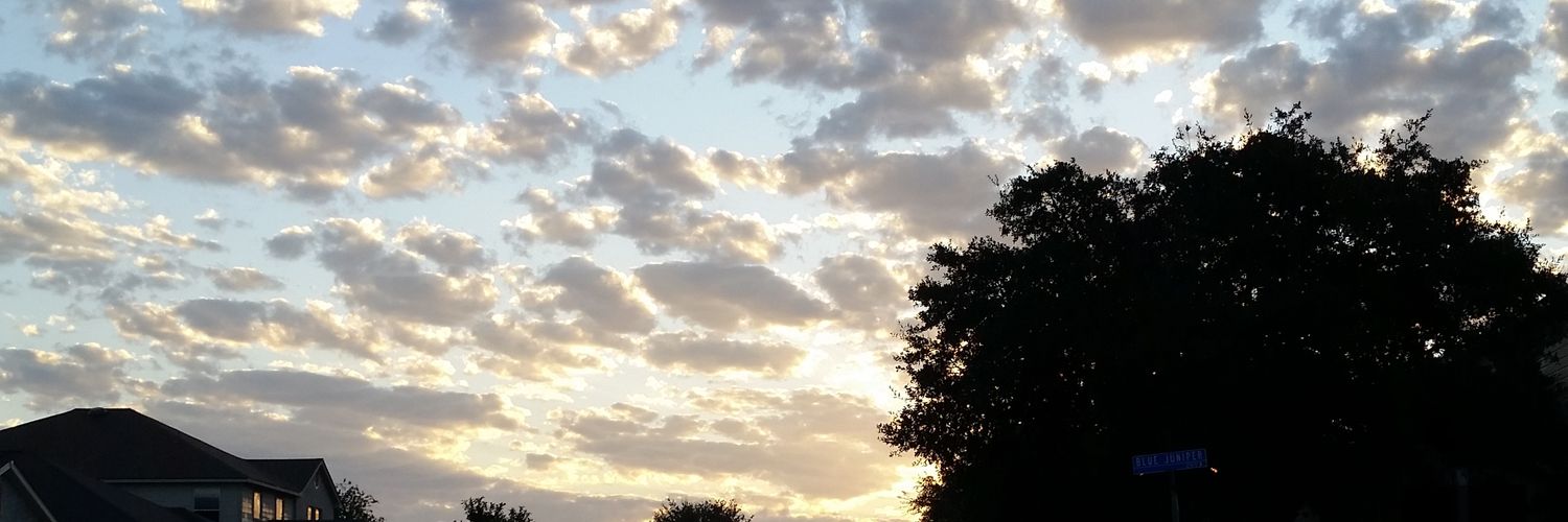 jesswillis83's profile banner image