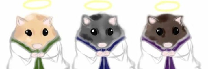 aiyanawolfe's profile banner image