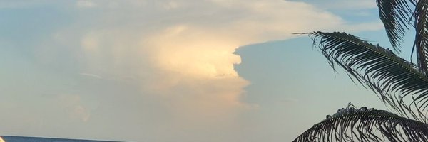 mmmichelles Profile Banner