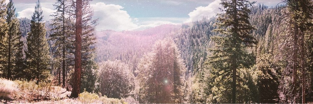 Luisa_P10's profile banner image