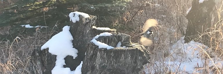 bryanrlchardson's profile banner image
