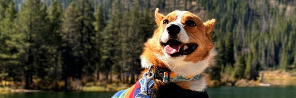 Hannah_kaaa's profile banner image