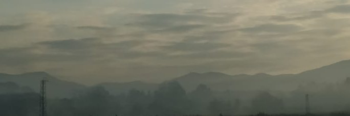 Javago banner