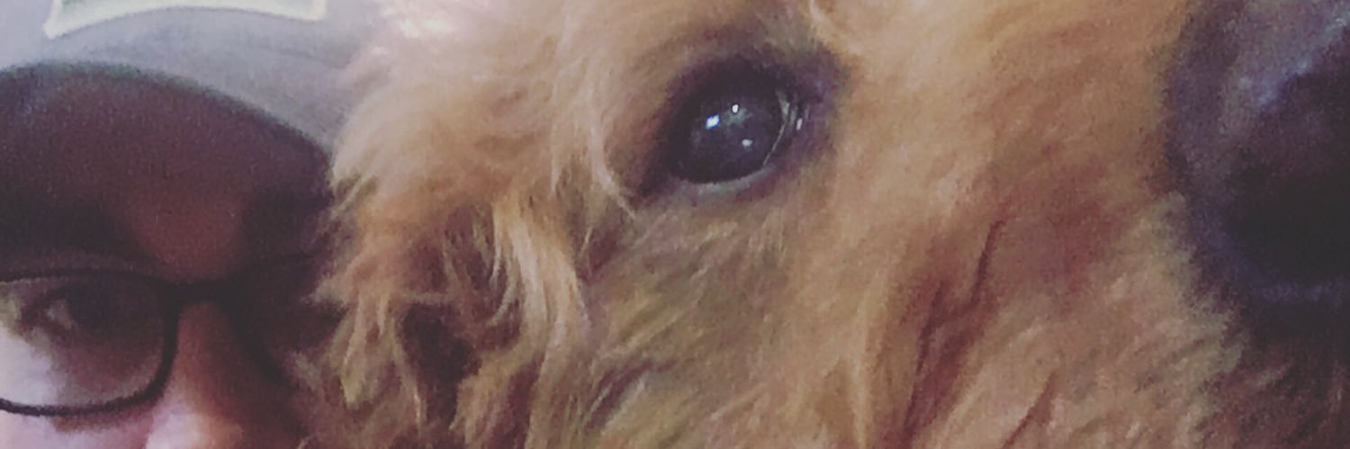 knish89's profile banner image