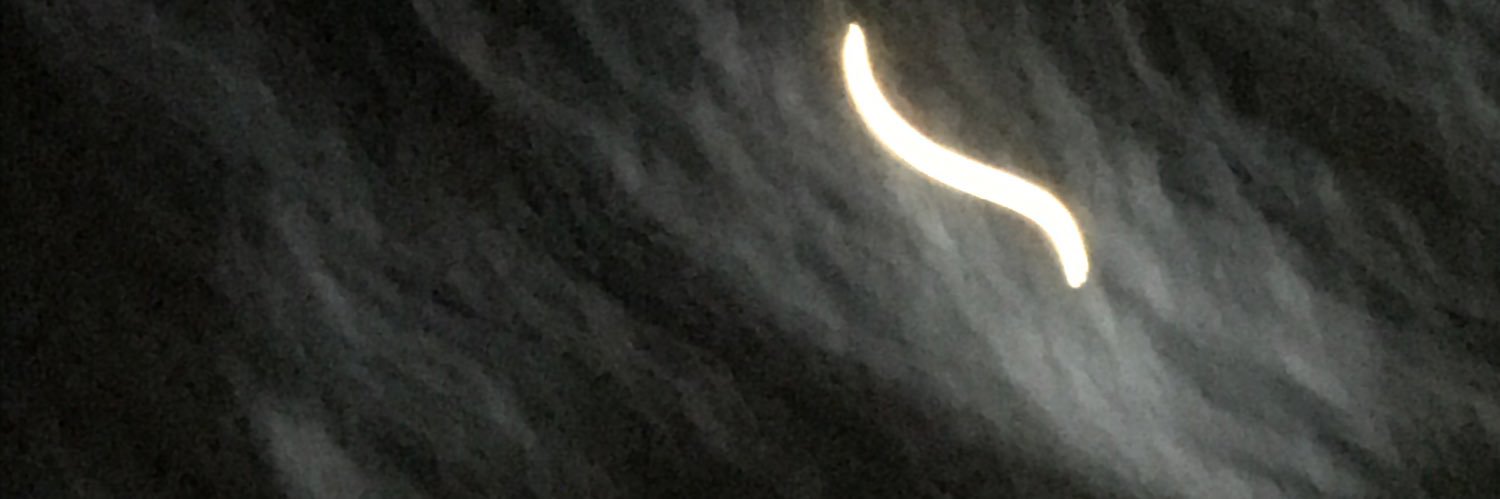 liji banner