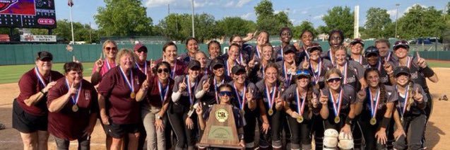 Lady Oiler Softball banner