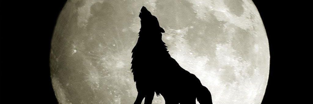 Almla9191's profile banner image