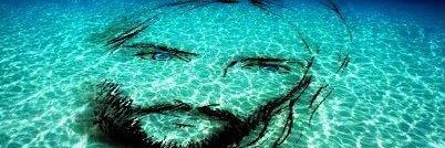 bielperes99's profile banner image