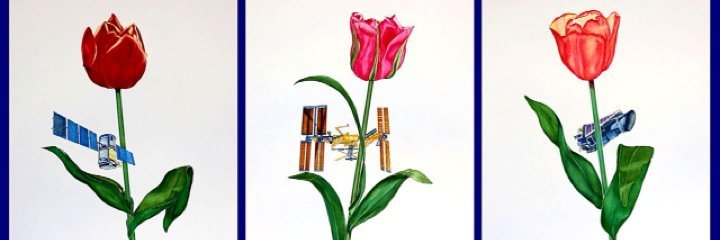 Jake P. Taylor-King banner