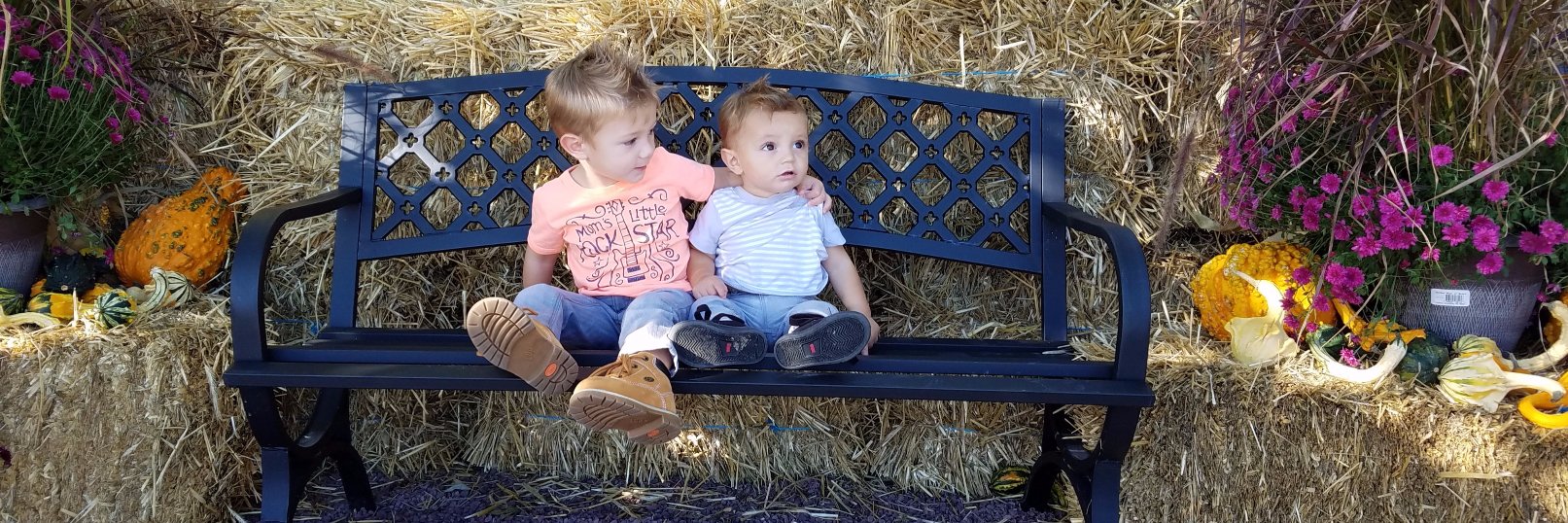 MTSD Grade 3 Perro banner