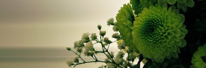 اياد البابلي banner