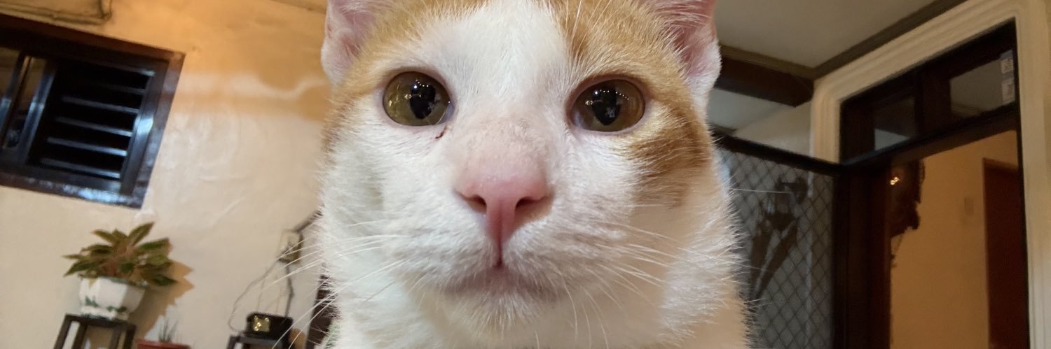 supeeerkimmy's profile banner image