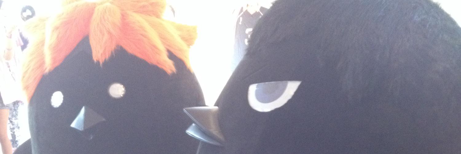 header image