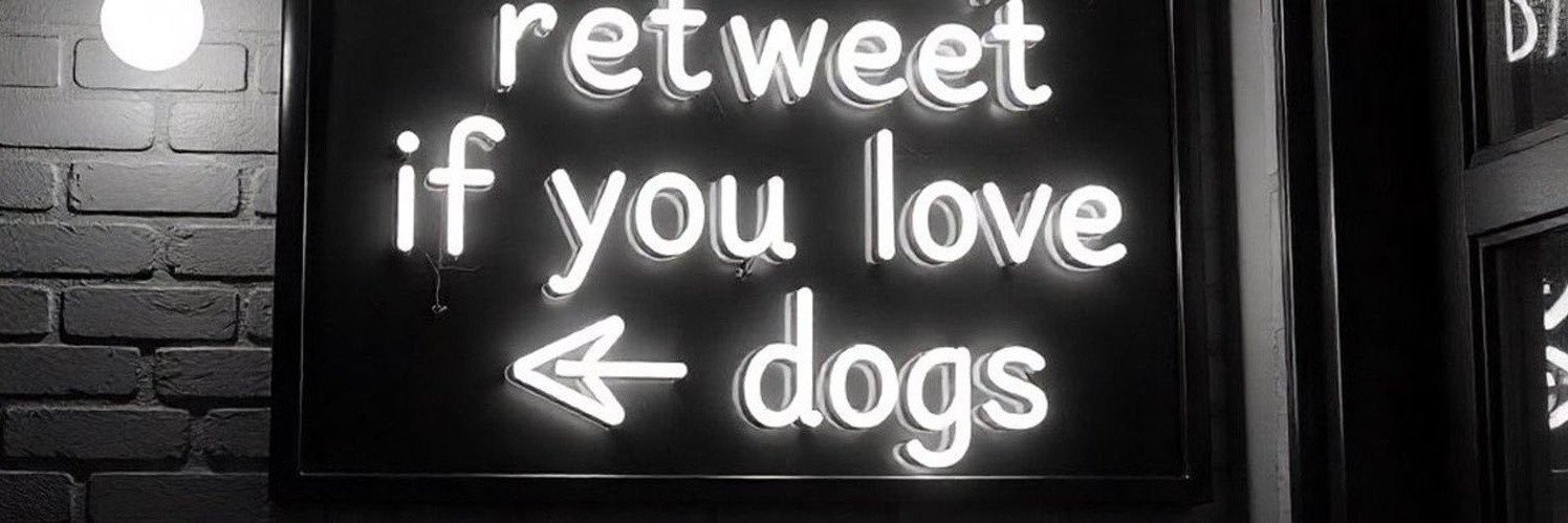 kimpaws31's profile banner image