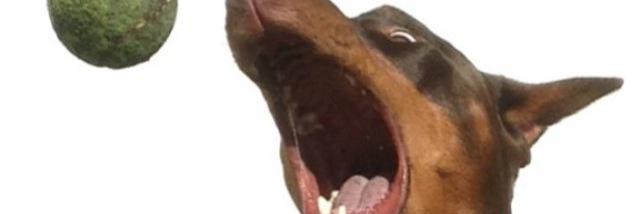 kristenconstans's profile banner image