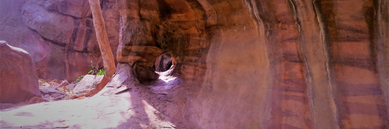 Sid Bhattacharjee banner