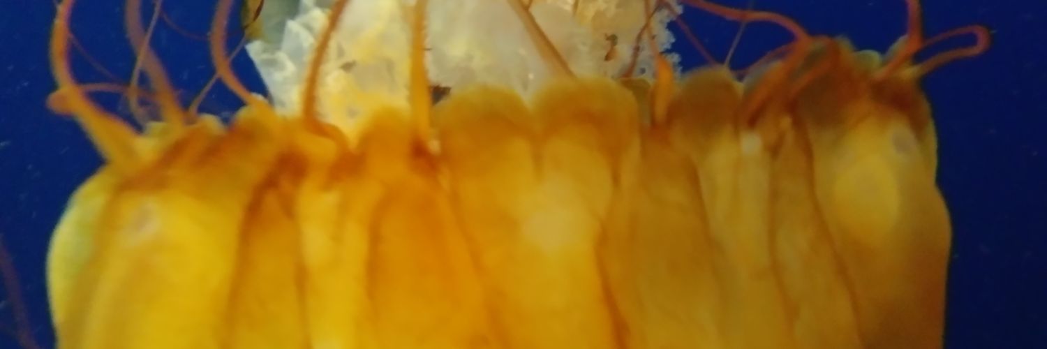 IAmLarryA's profile banner image