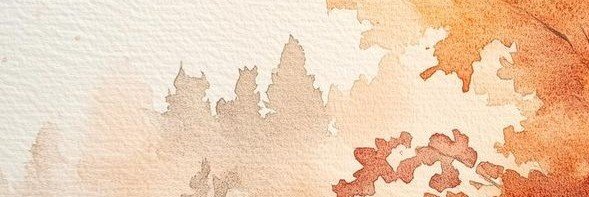 socculentt's profile banner image