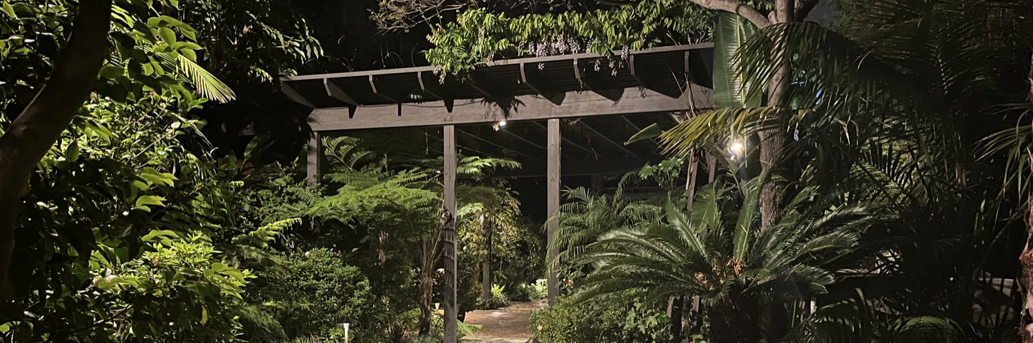 reachhamdy's profile banner image