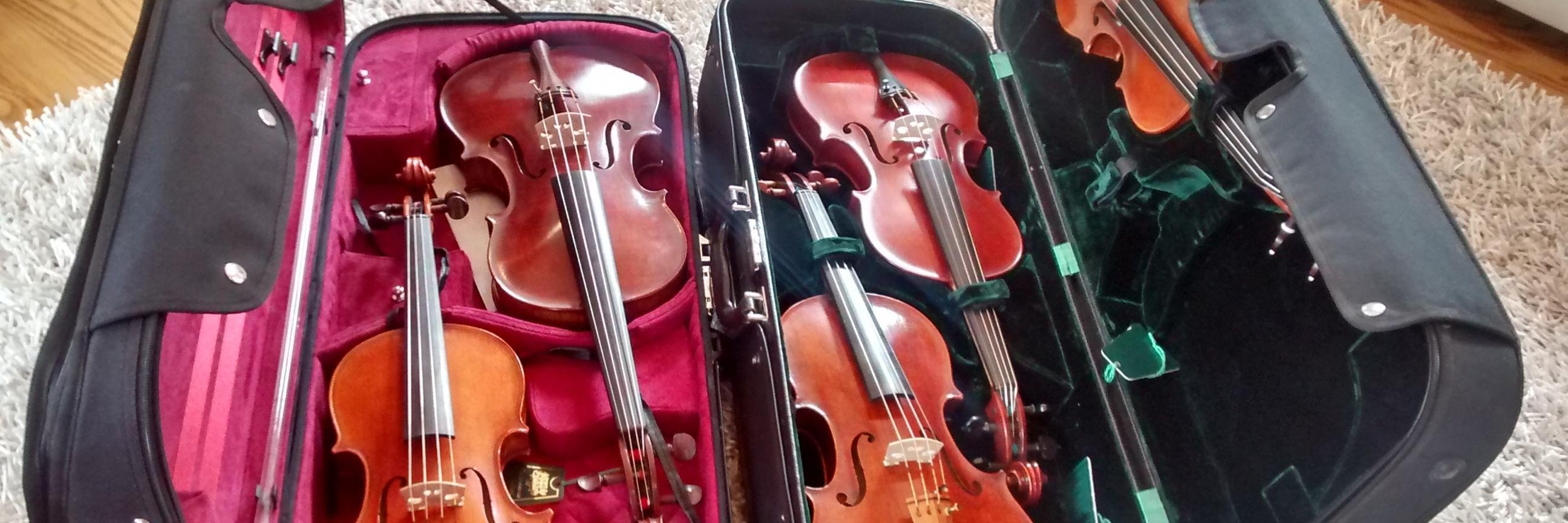 The Strings Family (@TheStringsFam) / Posts / X