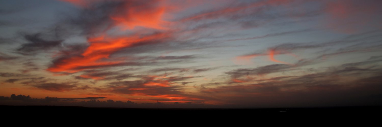 mr_d_cox's profile banner image