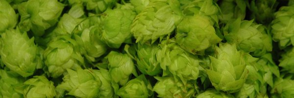 ShantyShackBrew Profile Banner