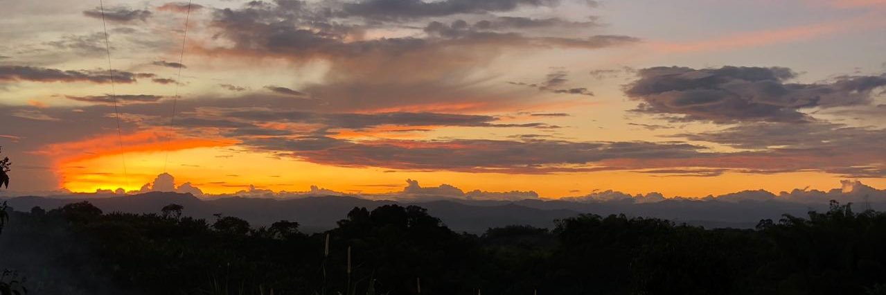 PeterRubio's profile banner image