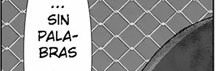 archi banner