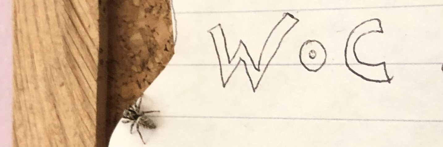 Dr Kavita Maya banner