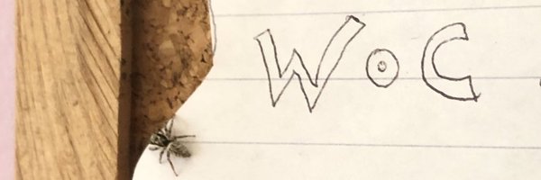 arachnomancy Profile Banner