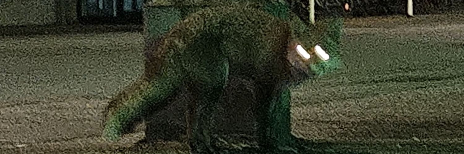 TheGreyUrban's profile banner image