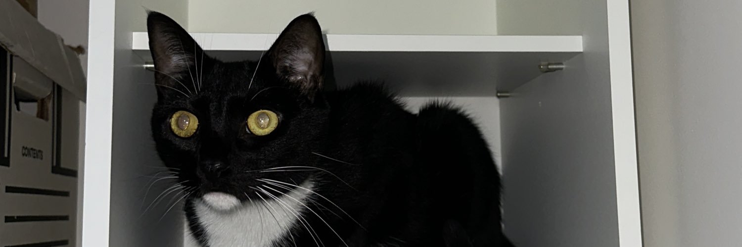 JustinLeeDo's profile banner image
