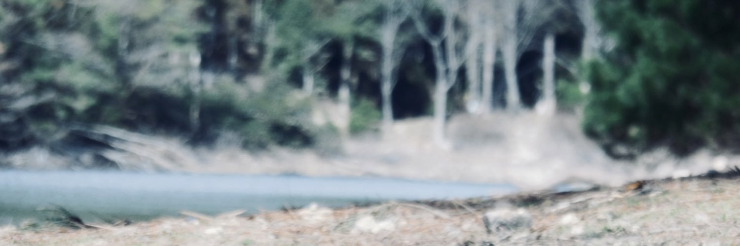 A_morinaka's profile banner image