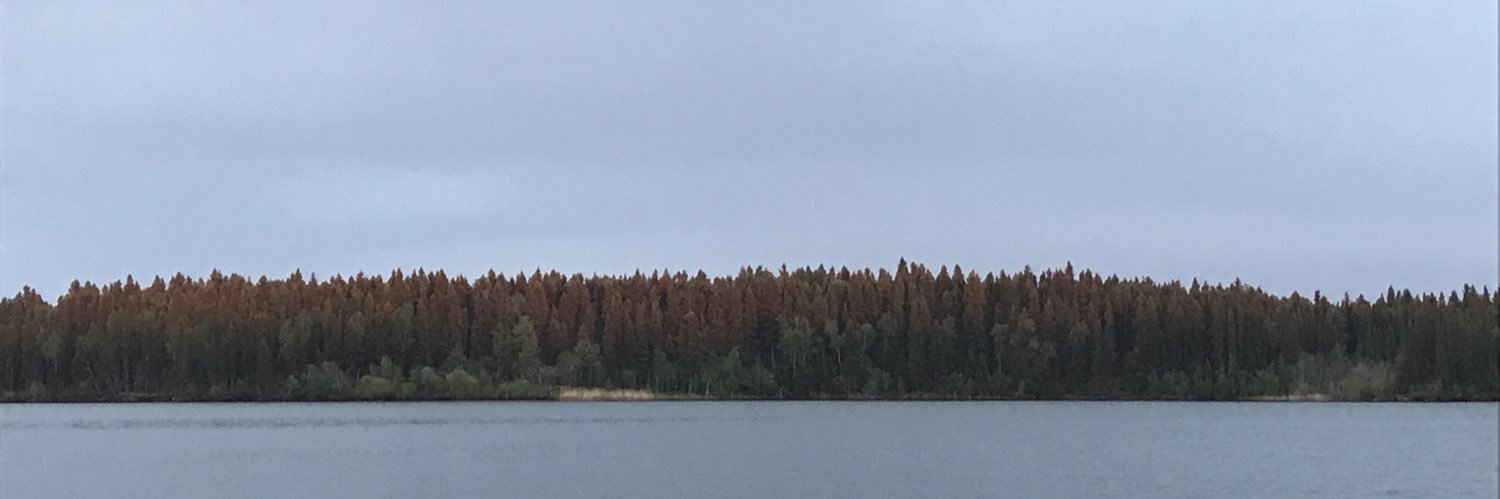 whitetail1979's profile banner image