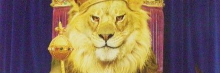 akblove751's profile banner image