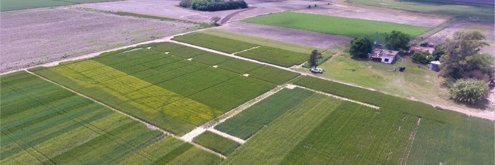 Marcelo López (El Colo) banner