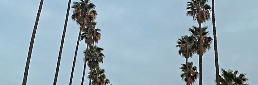 1JPDNA's profile banner image