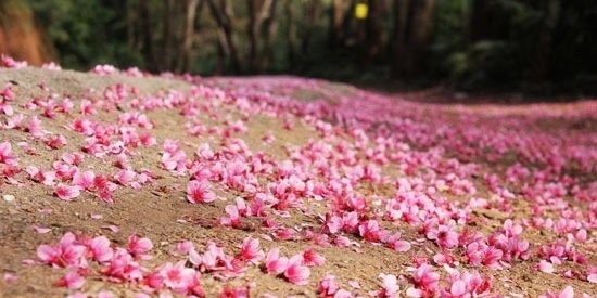 AAukaew's profile banner image