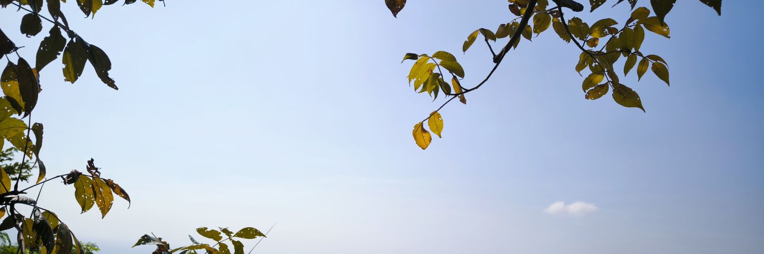 mind1504's profile banner image