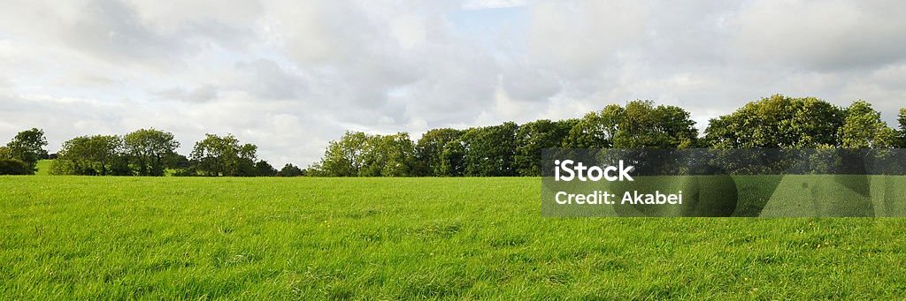 angillespie's profile banner image