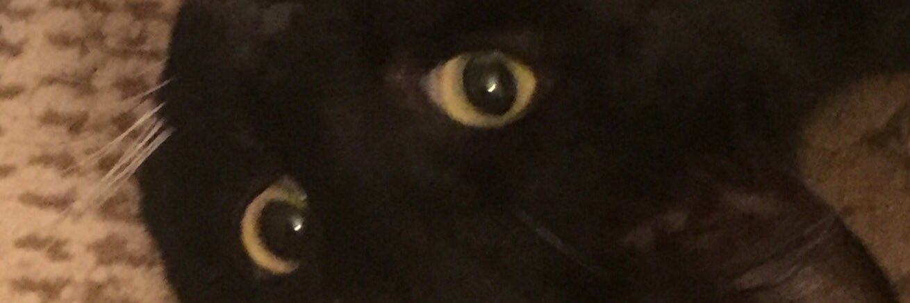 quesadasun's profile banner image