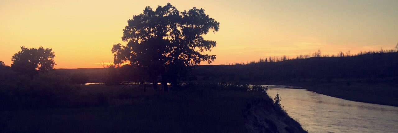 plnelson18's profile banner image